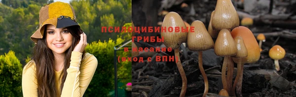 альфа пвп Горно-Алтайск