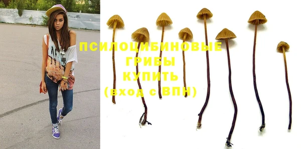 прущие грибы Алзамай