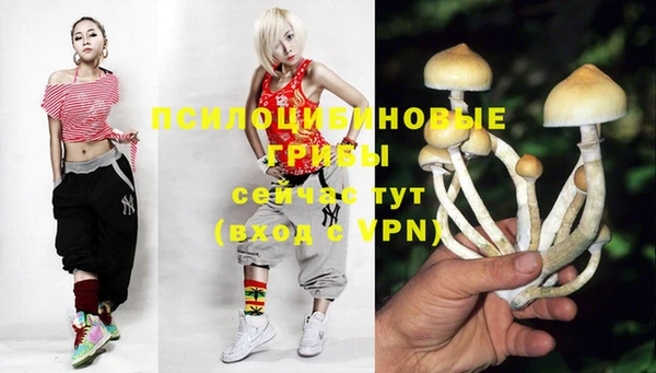 прущие грибы Алзамай